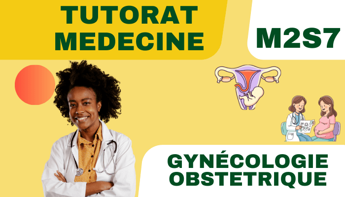 Tutorat médécine – Anatomie d’organe 3