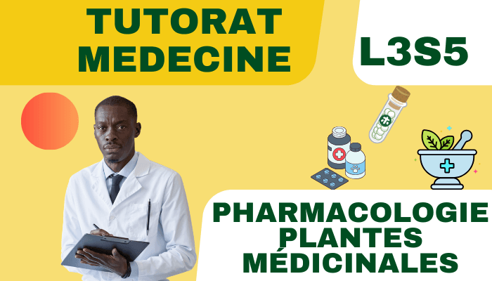 Tutorat médécine – Anatomie d’organes 1 (5)